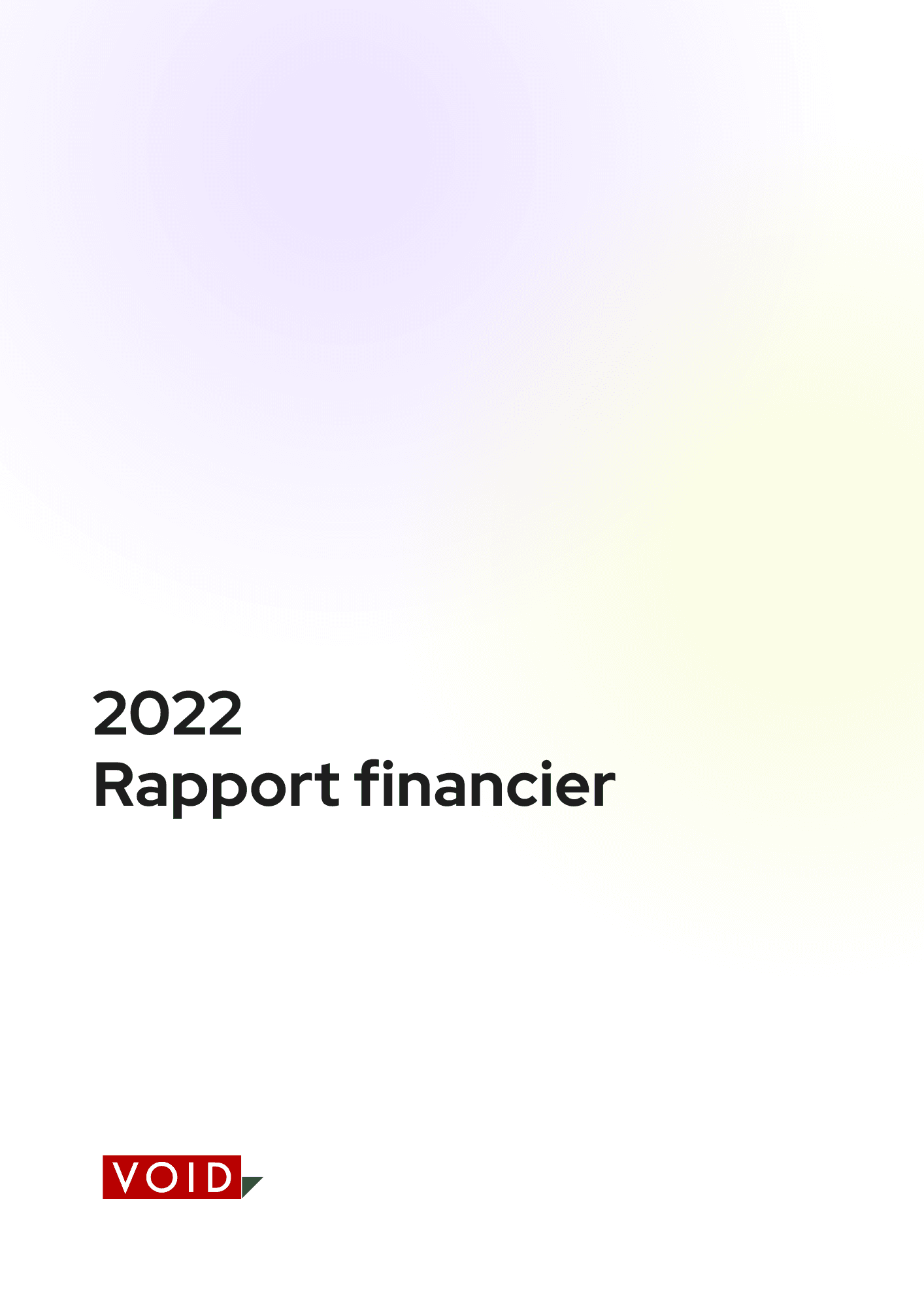 void-rapport-financier