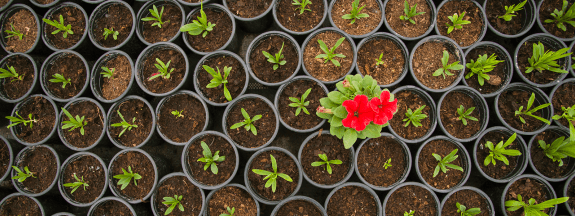 experience_utilisateur_avantage_concurrentiel_dans_la_finance_marocaine