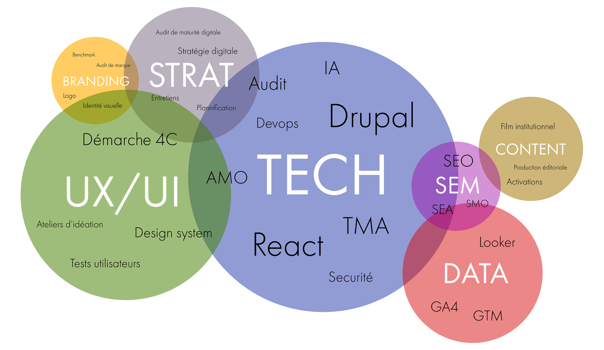 void expertises métiers